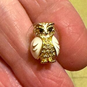 Kate spade owl earrings, super cute